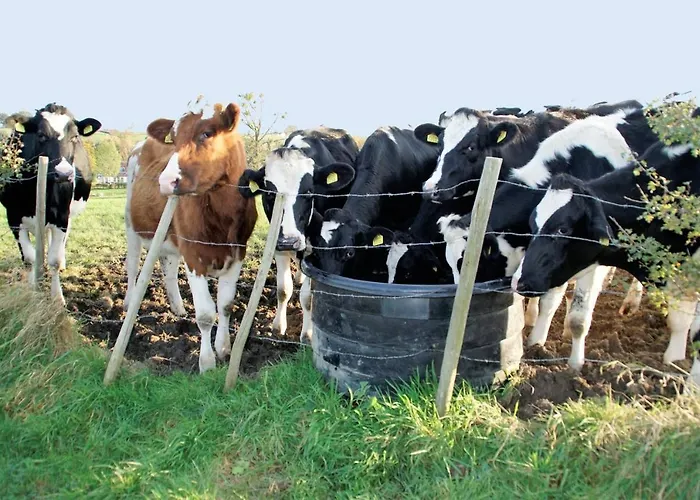 In De Tatil Evi Epen