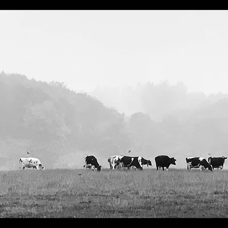 In De Semesterbostad *