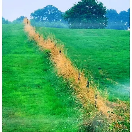 Semesterbostad In De *