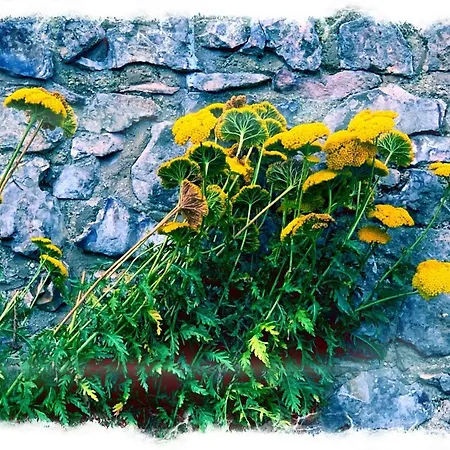 Semesterbostad In De